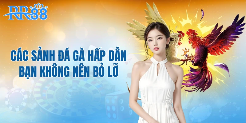 Các sảnh đá gà hấp dẫn bạn không nên bỏ lỡ
