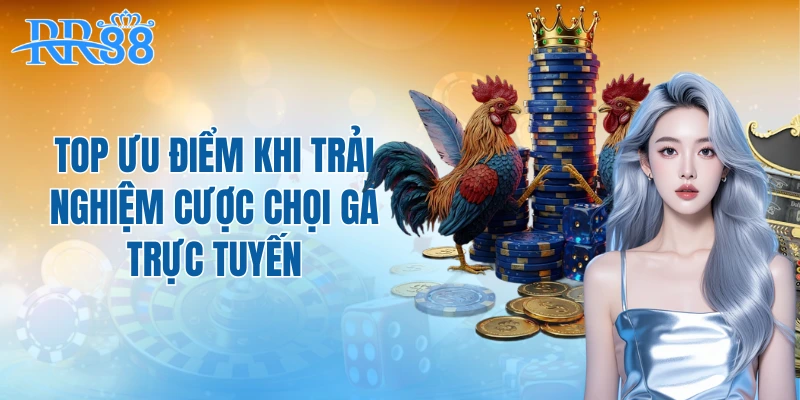 Top ưu điểm khi trải nghiệm cược chọi gà trực tuyến